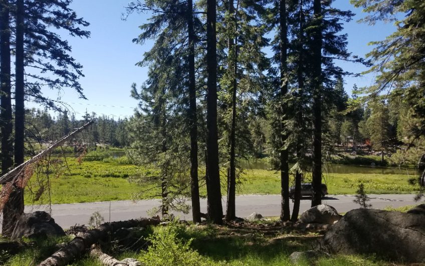 Sky High Pond View