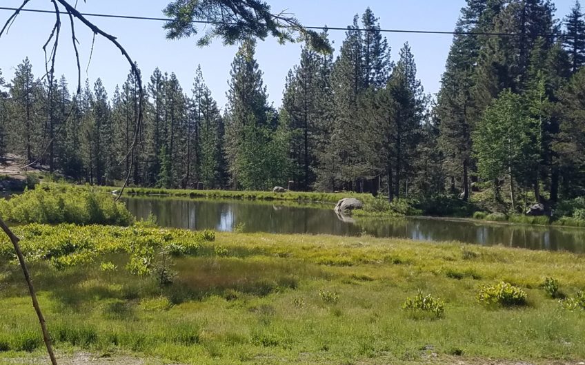 Sky High Pond View