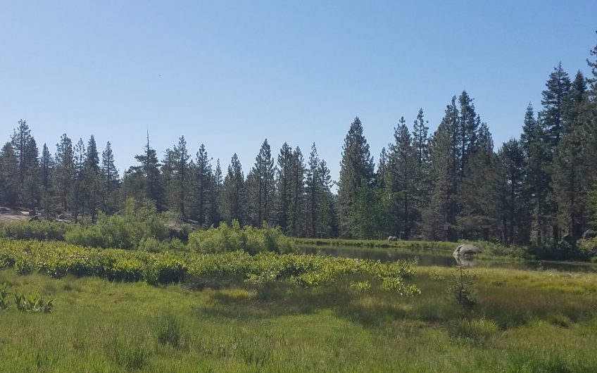 Sky High Pond View