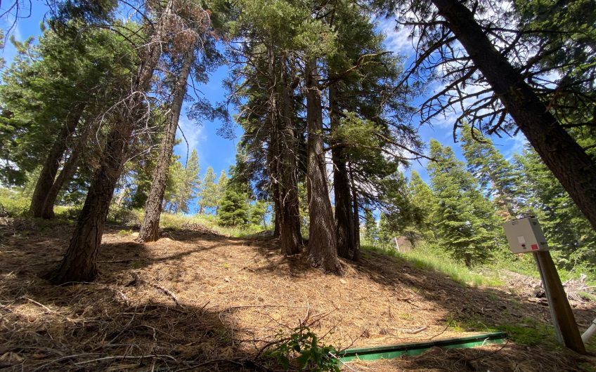 Possible Views from this Bear Valley Parcel