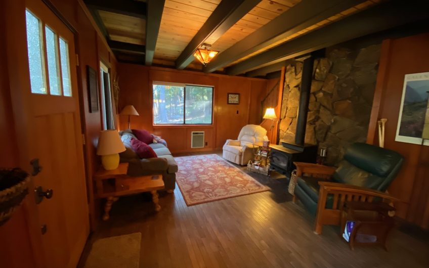 Stunning Cabin on a Rare 7+ Private Acres