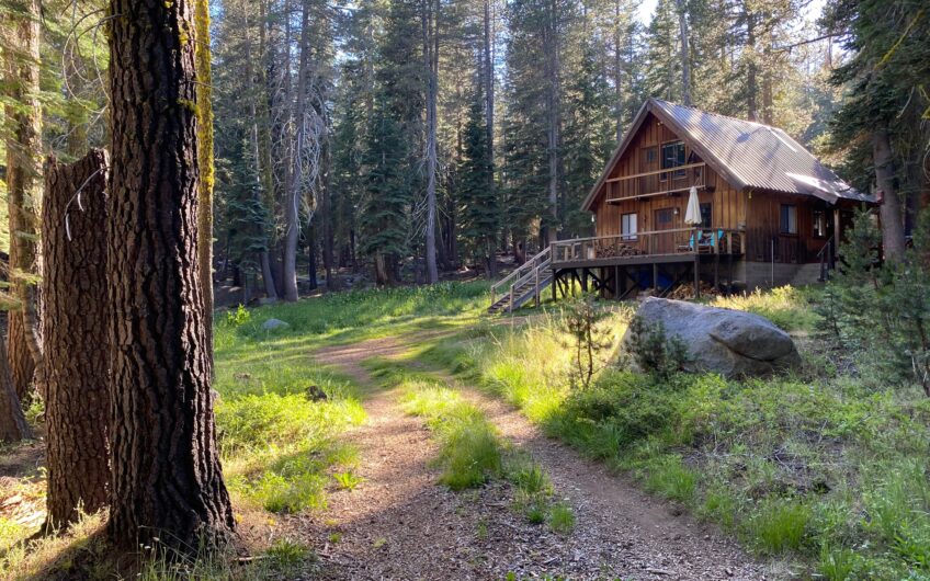 Stunning Cabin on a Rare 7+ Private Acres