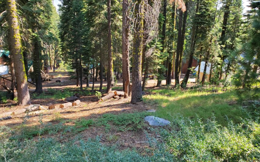 Corner Lot in Sky High Ranch