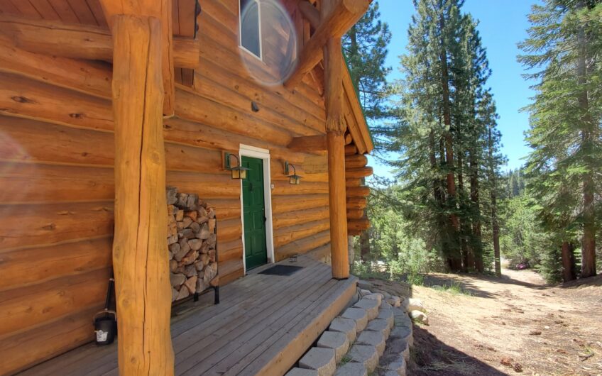 Custom Bear Valley Log Home