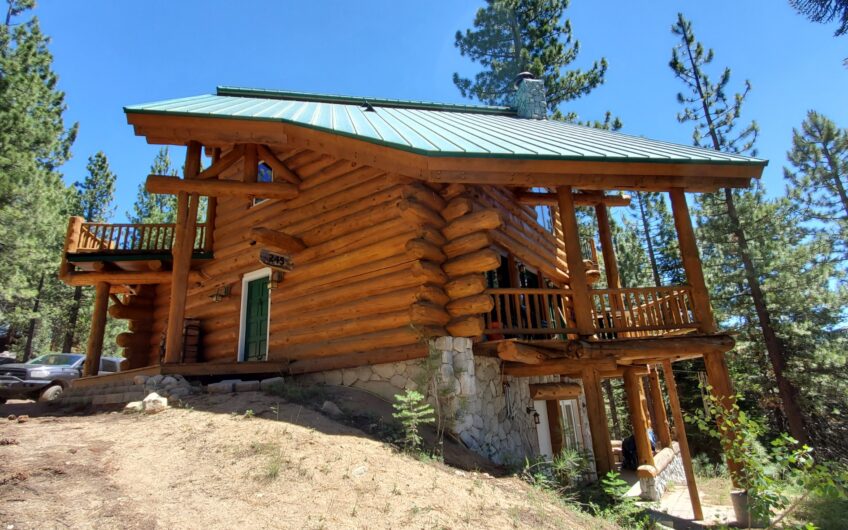 Custom Bear Valley Log Home