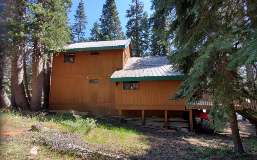 Bear Valley Chalet with Easy Winter Access