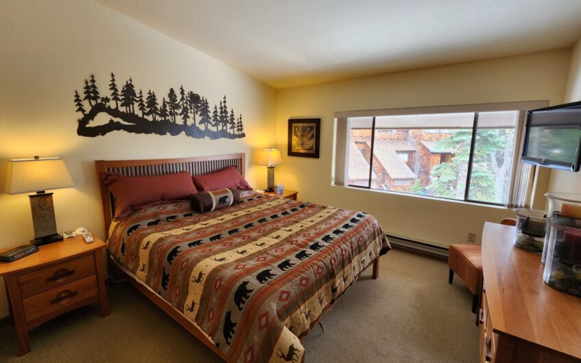 Remodeled Ski Condo with Covered Parking