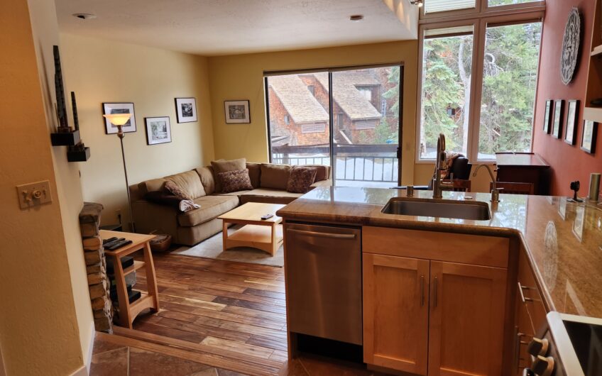 Remodeled Ski Condo with Covered Parking